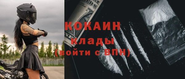 мяу мяу мука Инсар