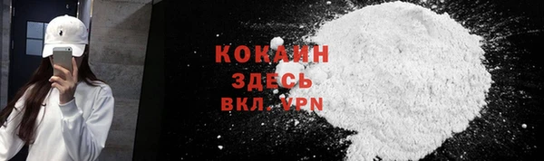 мяу мяу мука Инсар