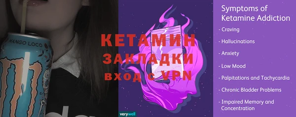 мяу мяу мука Инсар
